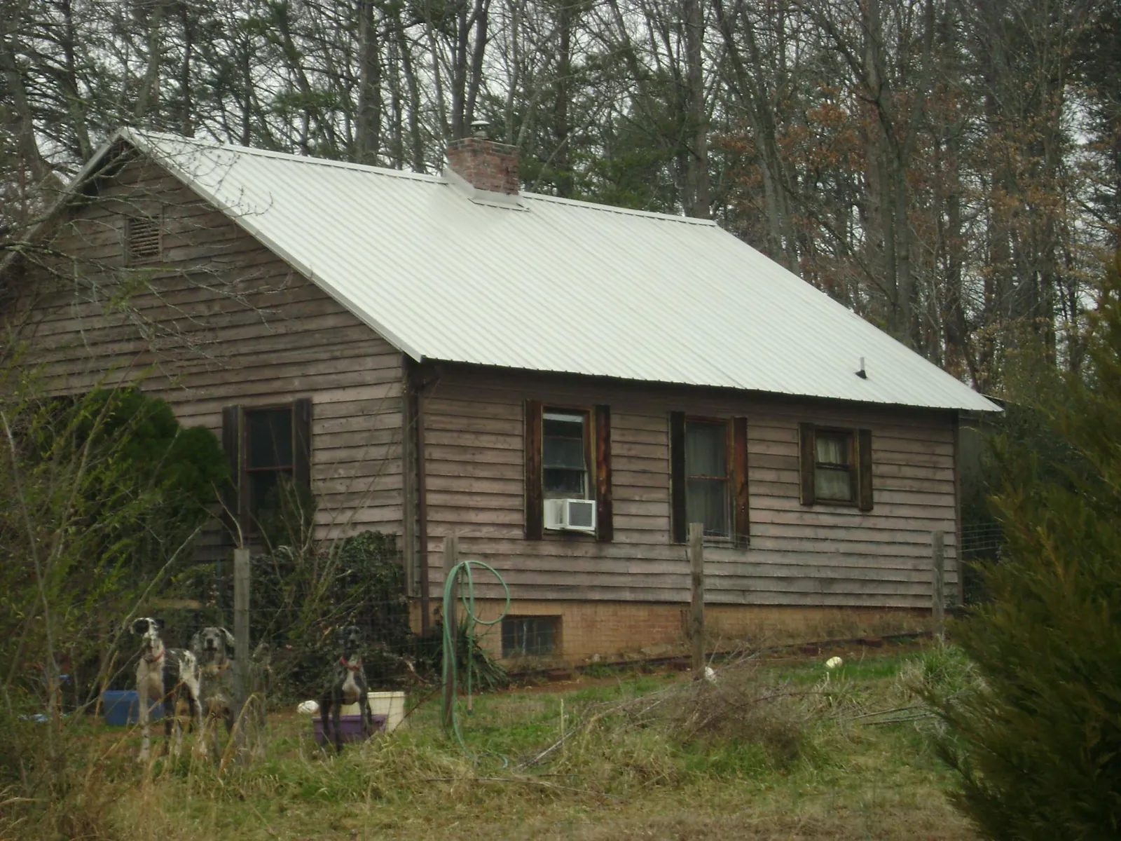 White metal roof on an old wood sided farmhouse, from a Asphalt Shingle Roof Repair job in Ellston
